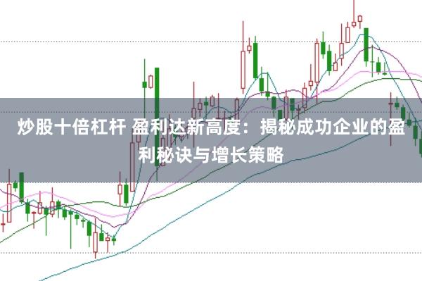 炒股十倍杠杆 盈利达新高度：揭秘成功企业的盈利秘诀与增长策略