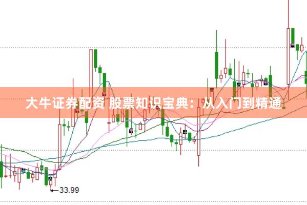 大牛证券配资 股票知识宝典：从入门到精通