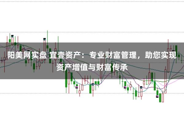 阳美网实盘 宜壹资产：专业财富管理，助您实现资产增值与财富传承