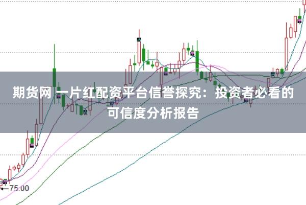 期货网 一片红配资平台信誉探究：投资者必看的可信度分析报告
