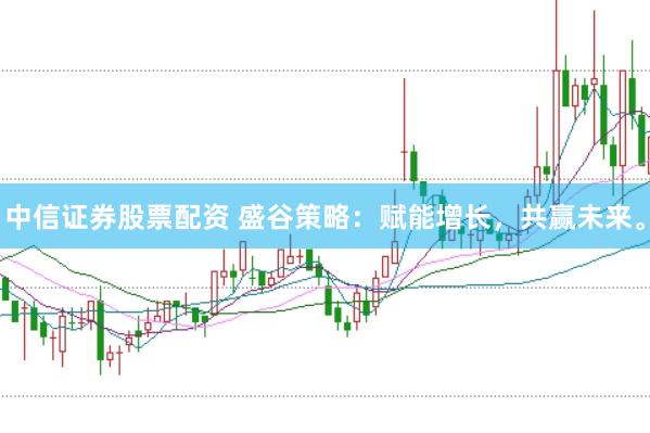 中信证券股票配资 盛谷策略：赋能增长，共赢未来。