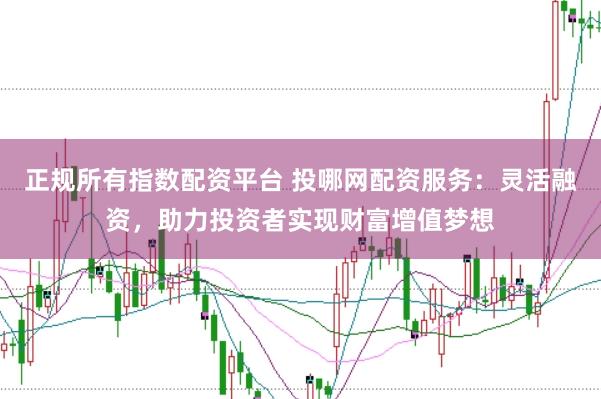 正规所有指数配资平台 投哪网配资服务：灵活融资，助力投资者实现财富增值梦想