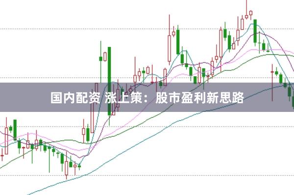 国内配资 涨上策：股市盈利新思路