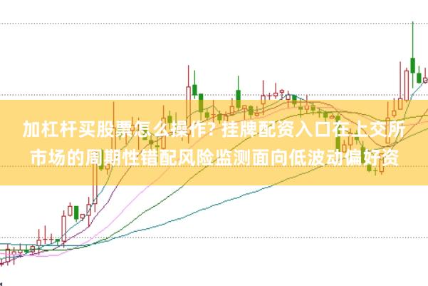 加杠杆买股票怎么操作? 挂牌配资入口在上交所市场的周期性错配风险监测面向低波动偏好资