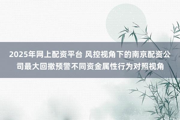2025年网上配资平台 风控视角下的南京配资公司最大回撤预警不同资金属性行为对照视角