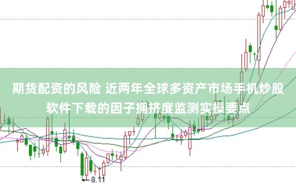 期货配资的风险 近两年全球多资产市场手机炒股软件下载的因子拥挤度监测实操要点