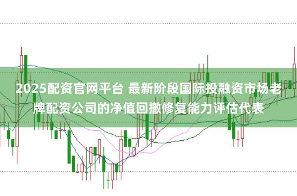 2025配资官网平台 最新阶段国际投融资市场老牌配资公司的净值回撤修复能力评估代表