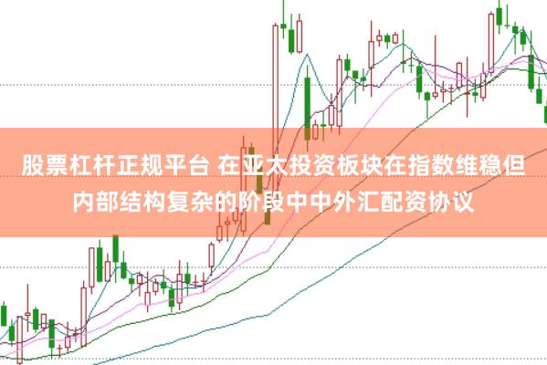 股票杠杆正规平台 在亚太投资板块在指数维稳但内部结构复杂的阶段中中外汇配资协议