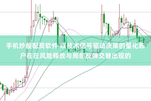 手机炒股配资软件 以技术信号驱动决策的量化账户在在风险释放与局部反弹交替出现的