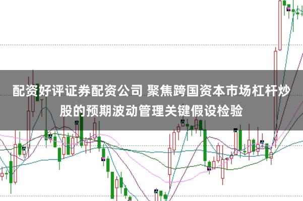 配资好评证券配资公司 聚焦跨国资本市场杠杆炒股的预期波动管理关键假设检验