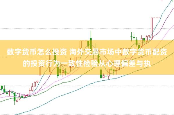 数字货币怎么投资 海外交易市场中数字货币配资的投资行为一致性检验从心理偏差与执