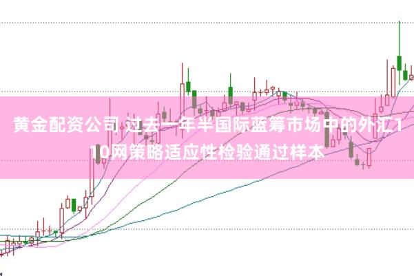 黄金配资公司 过去一年半国际蓝筹市场中的外汇110网策略适应性检验通过样本
