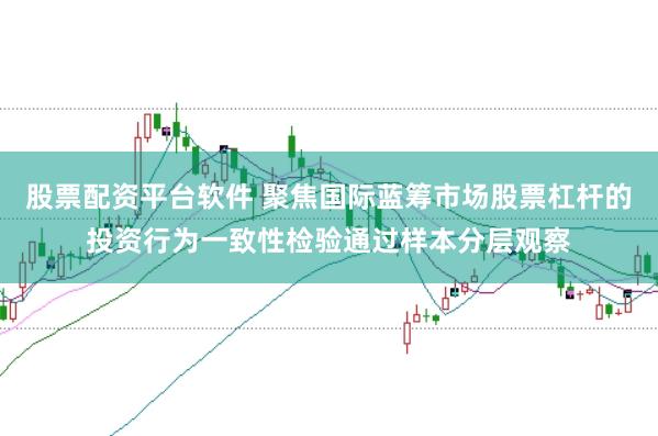 股票配资平台软件 聚焦国际蓝筹市场股票杠杆的投资行为一致性检验通过样本分层观察